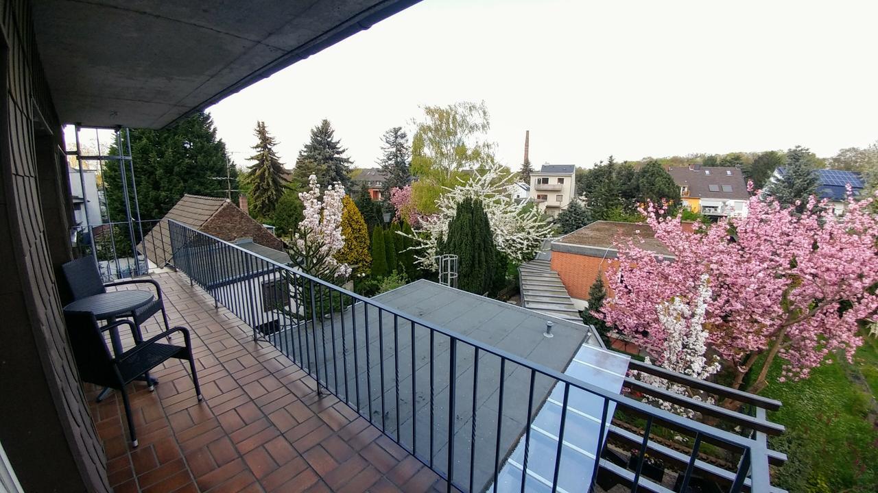 Hotel Wilms 쾰른 외부 사진